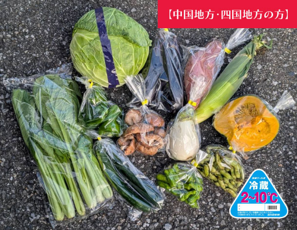 【中国地方・四国地方へ配送の方】【100サイズが圧倒的お買い得!!箱いっぱい!新鮮房総旬の野菜箱いっぱいセット 旬の房総野菜を100サイズ弊社専用資材に詰め合わせ】産地直送 産直
