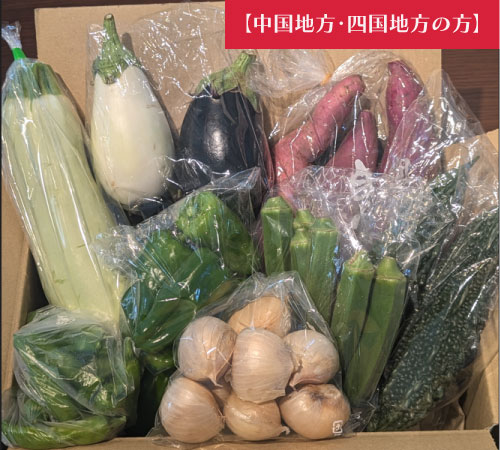 【中国地方・四国地方へ配送の方】【箱いっぱい!新鮮房総旬の野菜箱いっぱいセット 旬の野菜を60サイズ弊社専用資材に詰め合わせ】産地直送 産直 房総直売所をご家庭に
