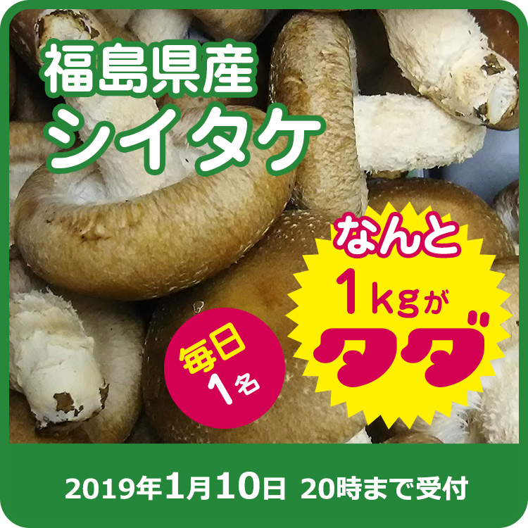 【株式会社日光林キノコ園ご提供】福島県産 シイタケ