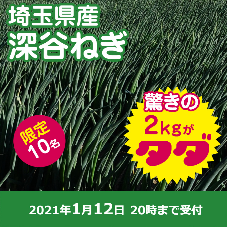 【プレゼント】深谷ネギ