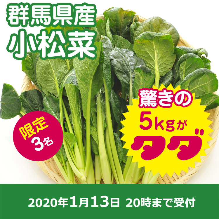 【須賀 農園ご提供】小松菜5キロ