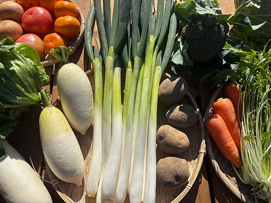 【ねぎ1キロ付き】わけあり野菜12種（北海道と九州の方）※送料込み※100サイズ満タン