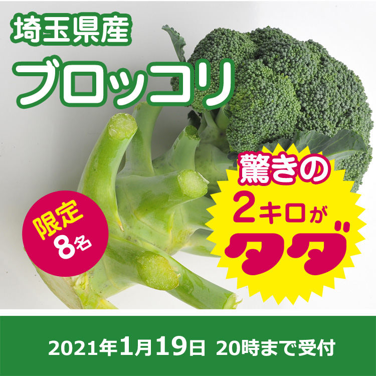 【プレゼント】ブロッコリ