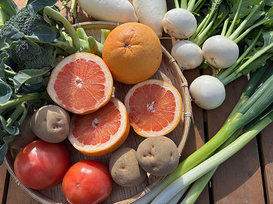【グレープフルーツ付き】わけあり野菜11種（本州と四国の方）※送料込み※100サイズ満タン