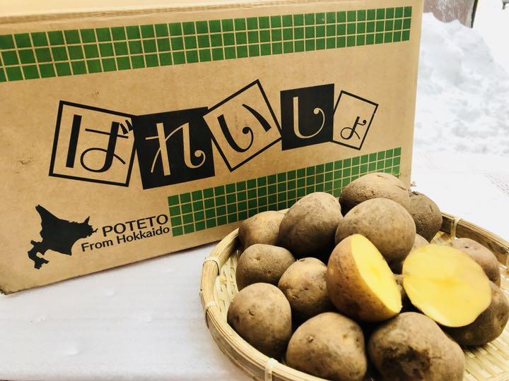 ●越冬じゃがいもきたあかり小玉サイズ10kg