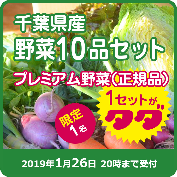 【さいのね畑ご提供】千葉県産 野菜10品セット
