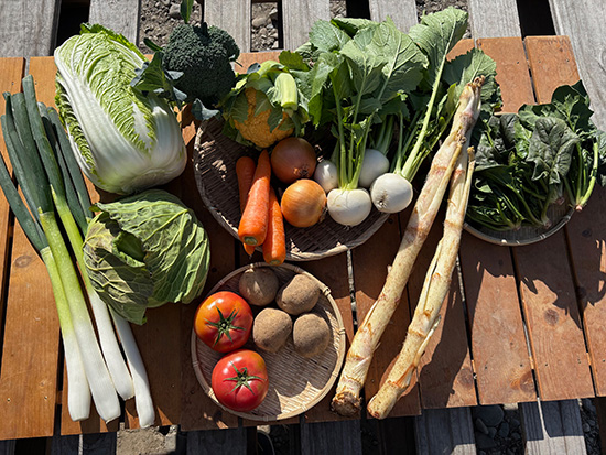 【特売1/17】わけあり野菜12種（北海道と九州の方）※送料込み※100サイズ満タン