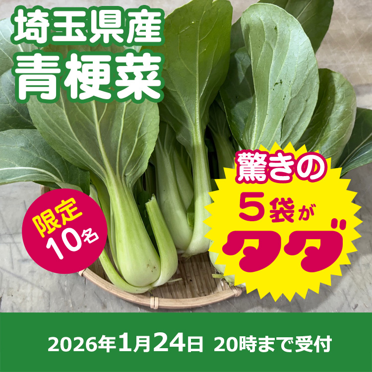【プレゼント】青梗菜5袋