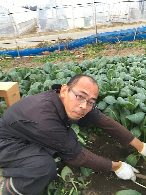 観光農園　うーちゃん家