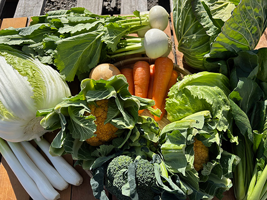 【特売1/20】わけあり野菜12種（本州と四国の方）※送料込み※100サイズ満タン