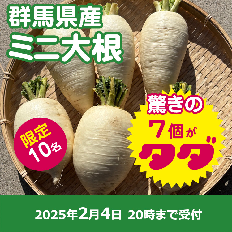 【プレゼント】ミニ大根7個