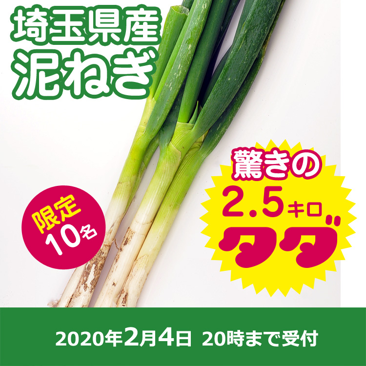 【おすそわけ】泥ネギ
