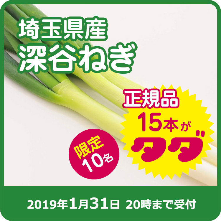 【おすそわけ】埼玉県産 深谷ねぎ