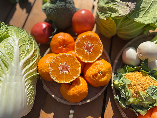 【通常3614→3323円】ぽんかん野菜セット11種（北海道と九州の方）※送料込み※100サイズ満タン