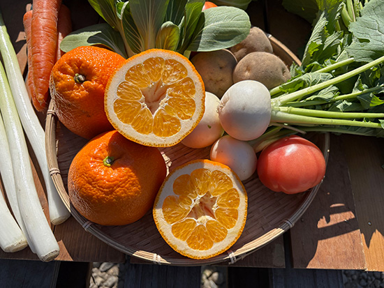 【伊予柑付き】野菜セット11種（北海道と九州の方）※送料込み※100サイズ満タン