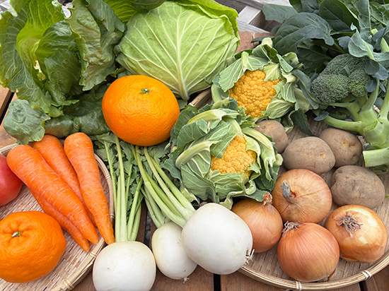 【特売2/7】わけあり野菜12種（本州と四国の方）※送料込み※100サイズ満タン