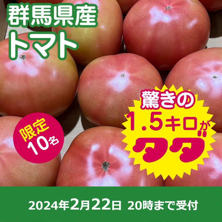 【プレゼント】大玉トマト1.5キロ