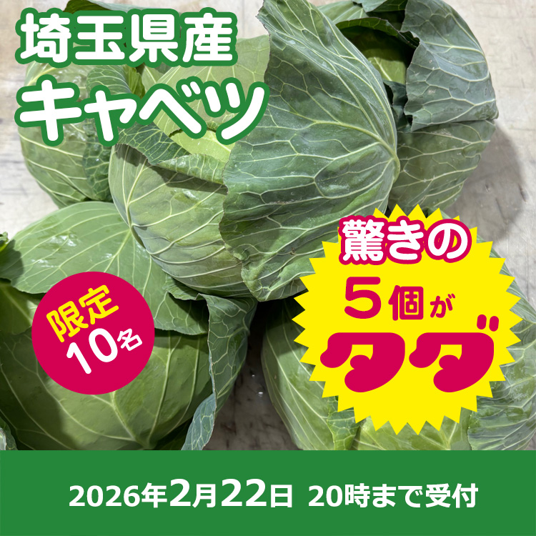 【プレゼント】キャベツ5個