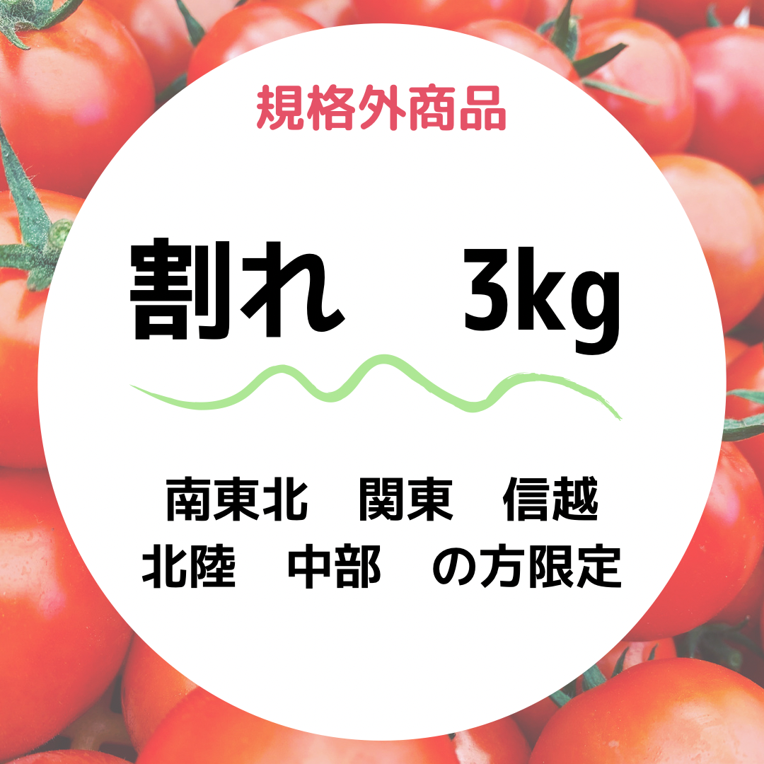 タダヤサイ 規格外 割れ ミニトマト3kg送料込