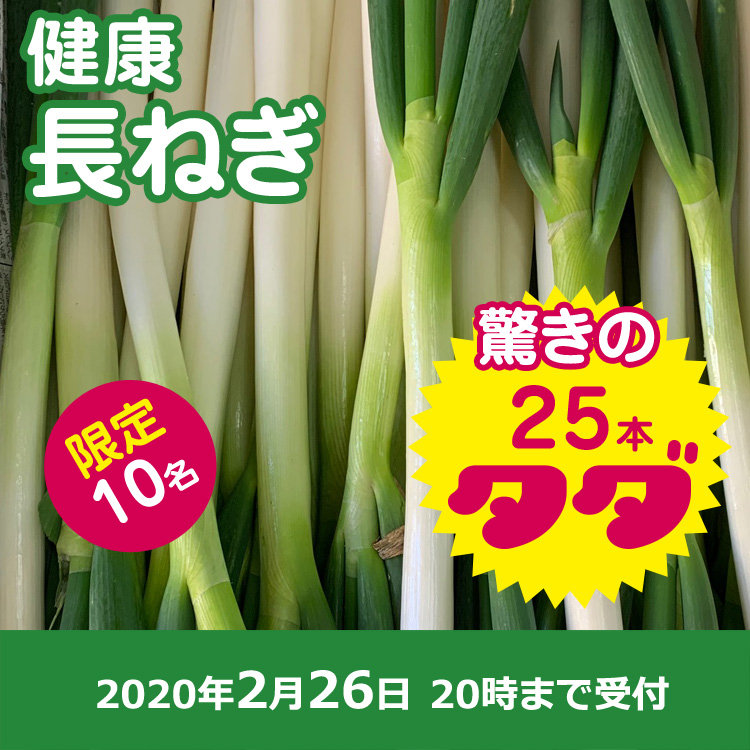 【プレゼント】ヌルネギ25本