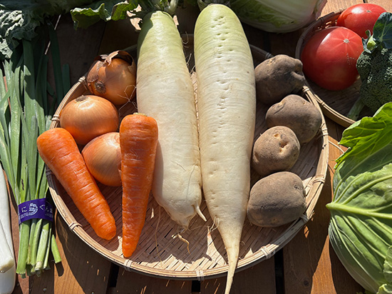 【特売】大根2本付き野菜セット12種（北海道と九州の方）※送料込み※100サイズ満タン