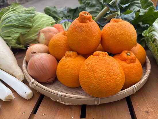 【特売】デコポン付き野菜セット11種（本州と四国の方）※送料込み※100サイズ満タン