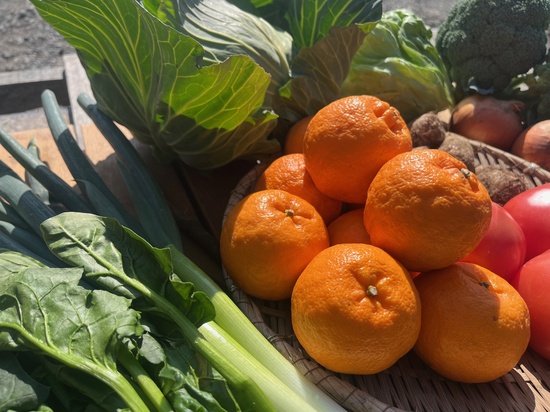 【最高級ポンカン1㎏入り】訳あり野菜11種セット(本州と四国の方)※送料込み※