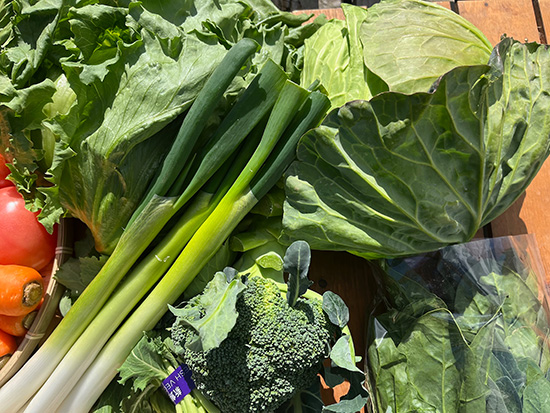 【2/26発売】訳アリ野菜12種(北海道と九州の方)※送料込み※