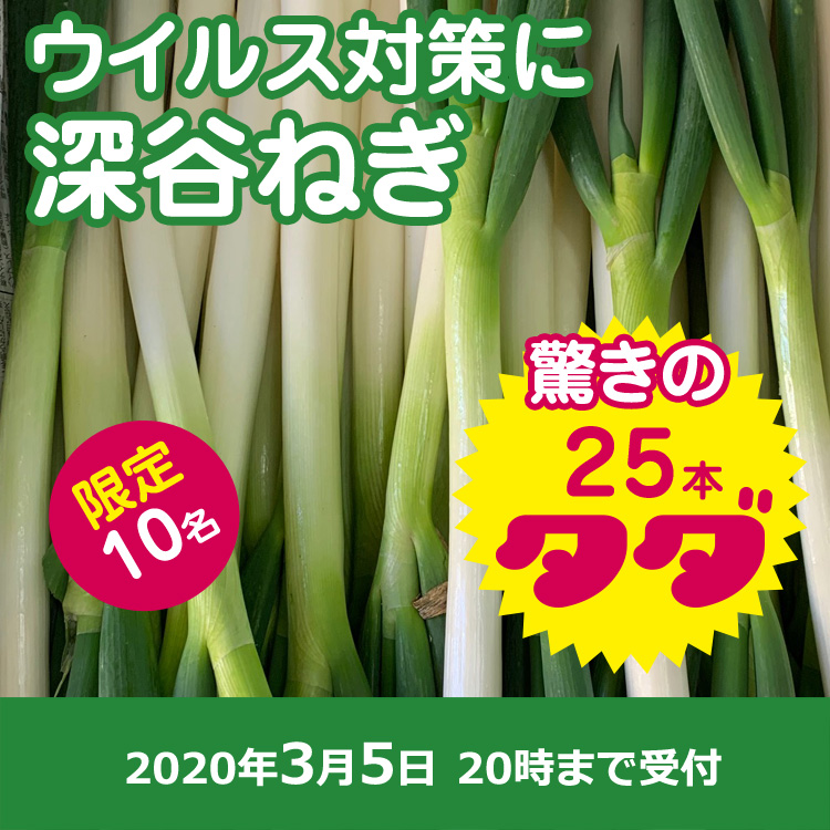 【プレゼント】深谷ネギ25本
