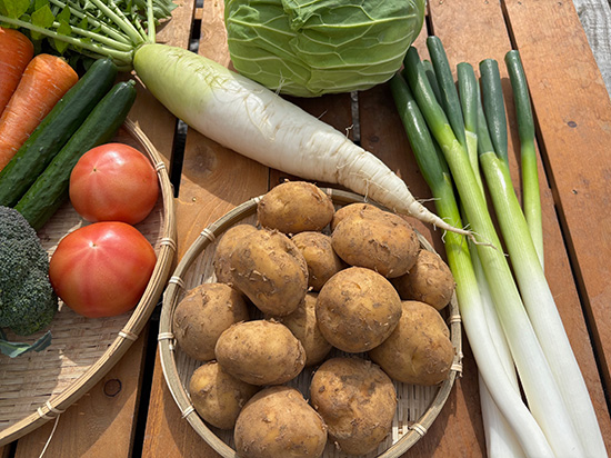 【新じゃが1.2キロ付き】！訳アリ野菜11種（本州と四国の方）※送料込み※