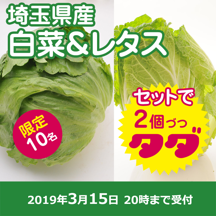白菜とレタスのセットプレゼント