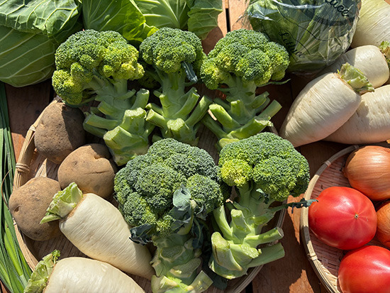 【タイムセール】ブロ・トマト多め野菜10品セット（北海道と九州の方）※送料込み※100サイズ満タン