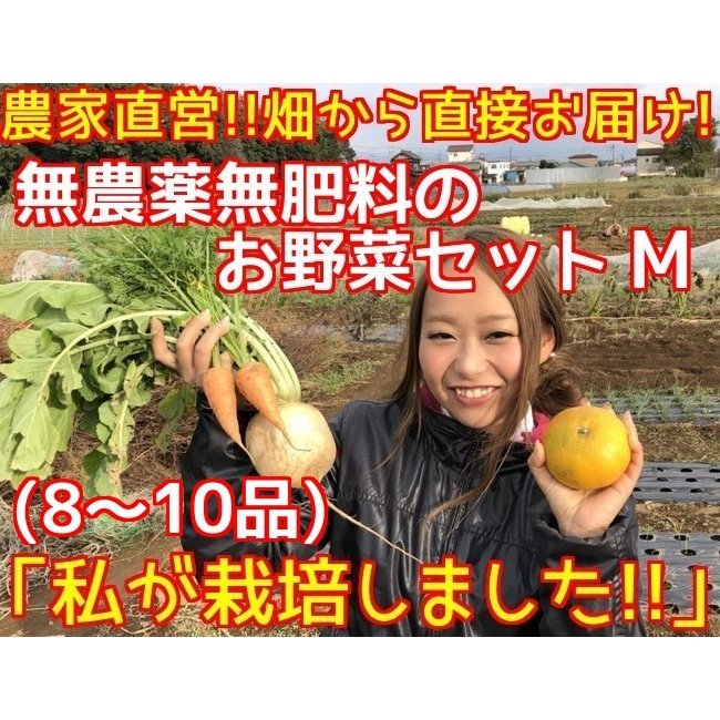 無農薬野菜セット M(8〜10品)