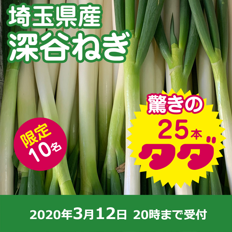 【プレゼント】深谷ネギ25本