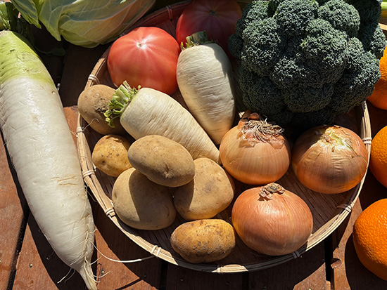 【3/8】わけあり野菜セット12種（北海道と九州の方）※送料込み※100サイズ満タン
