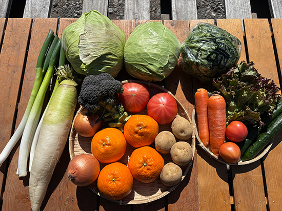 【大玉はるみ4個付き】訳アリ野菜11種（北海道と九州の方）※送料込み※