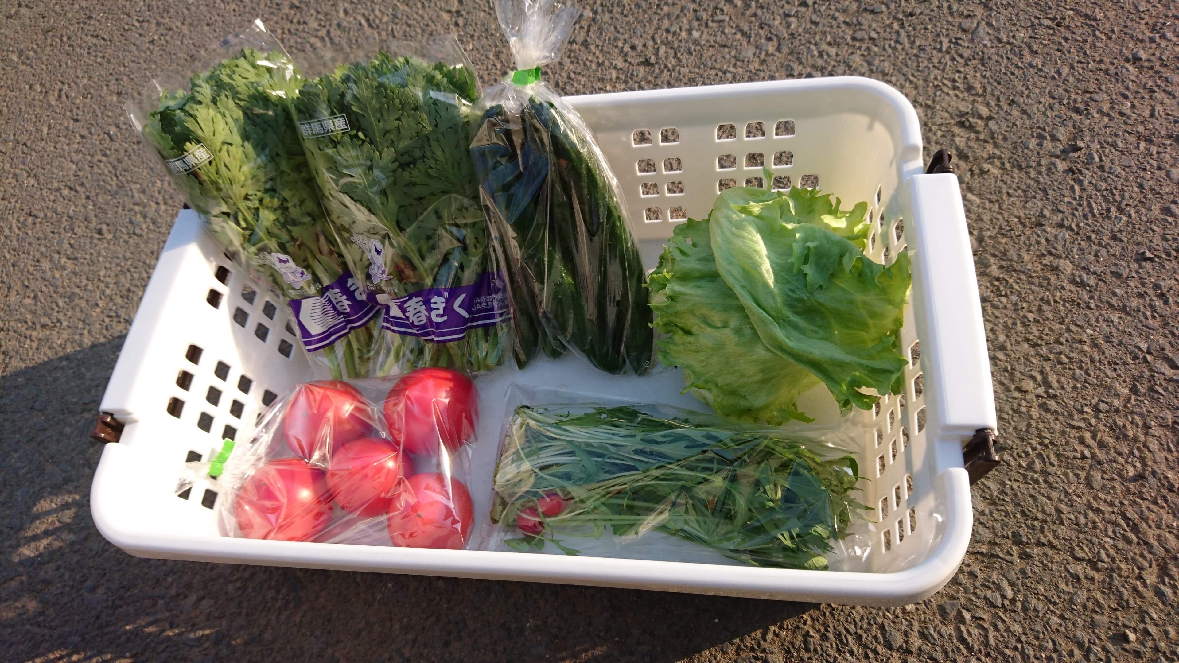 須賀農園お野菜お試しセット(関東・上信越・中部・東北地方の方向け)