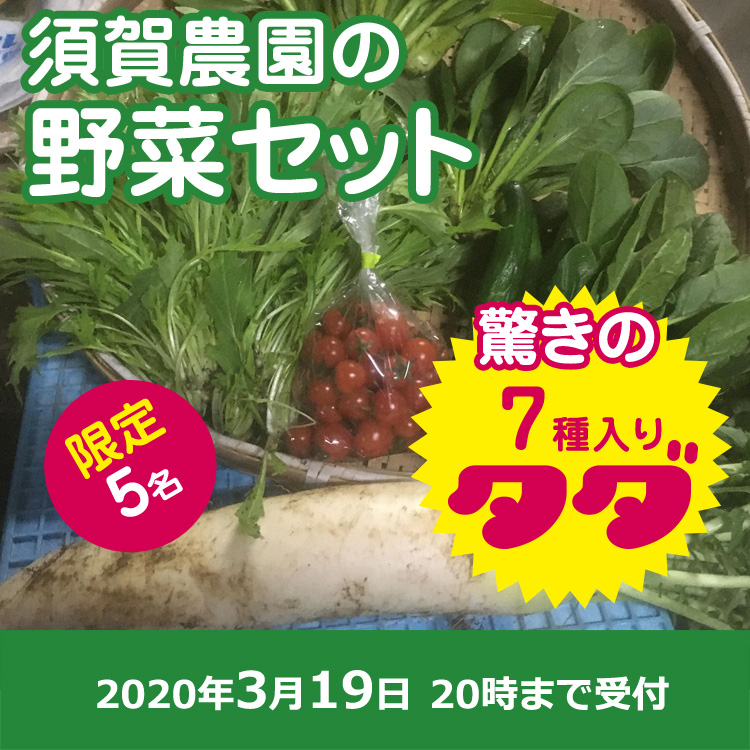 【須賀 農園ご提供】野菜セット