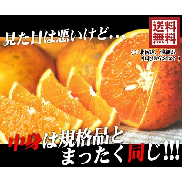 訳あり清美(約10キロ)