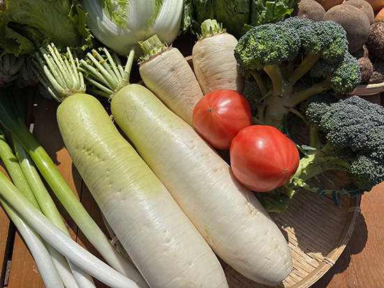 【特売】大根2本付き野菜セット12種（北海道と九州の方）※送料込み※100サイズ満タン