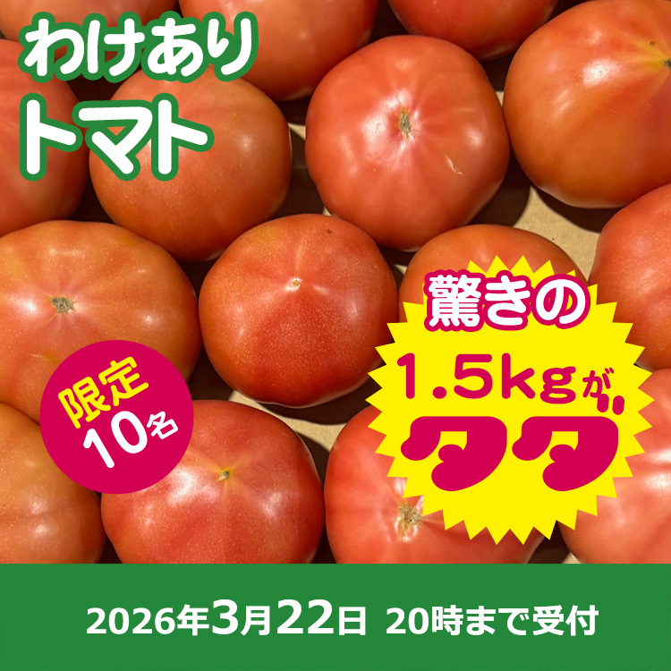【プレゼント】わけありトマト
