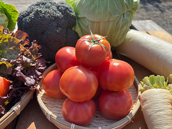 【トマト1キロ付】訳アリ野菜11種（本州と四国の方）※送料込み※