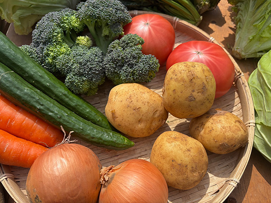 【3/22特売】わけあり野菜セット12種（本州と四国の方）※送料込み※100サイズ満タン