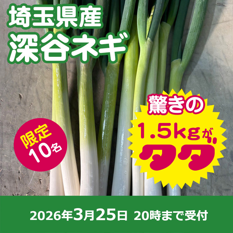 【プレゼント】深谷ネギ1.5キロ