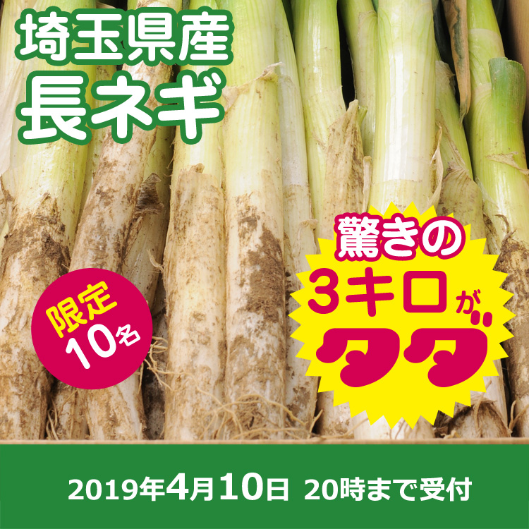 長ネギ3キロ