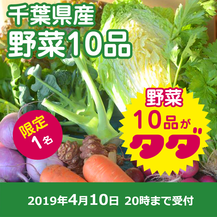【さいのね畑ご提供】千葉県産 野菜10品セット