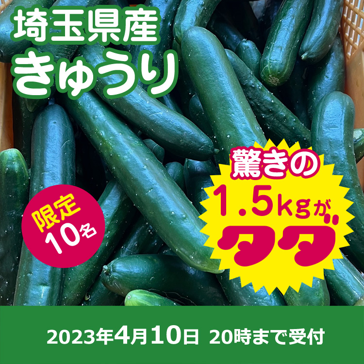 【プレゼント】きゅうり1.5kg