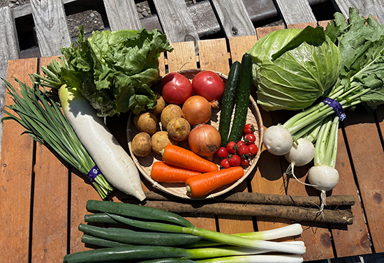 【特売4/4】わけあり野菜セット12種（本州と四国の方）※送料込み※100サイズ満タン