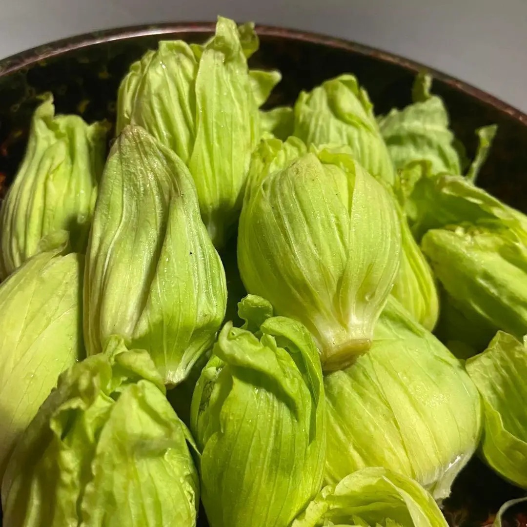 【天然の春の味覚】岩手県産ふきのとう1kg – 自然の恵みを新鮮直送