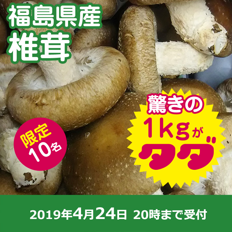 【株式会社日光林キノコ園ご提供】福島県産 シイタケ